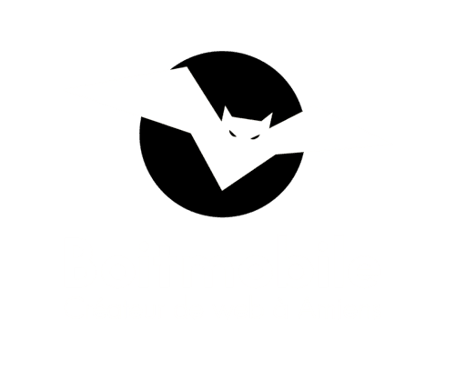 Logo Boitmobile - Agence web de création de site internet à Amiens